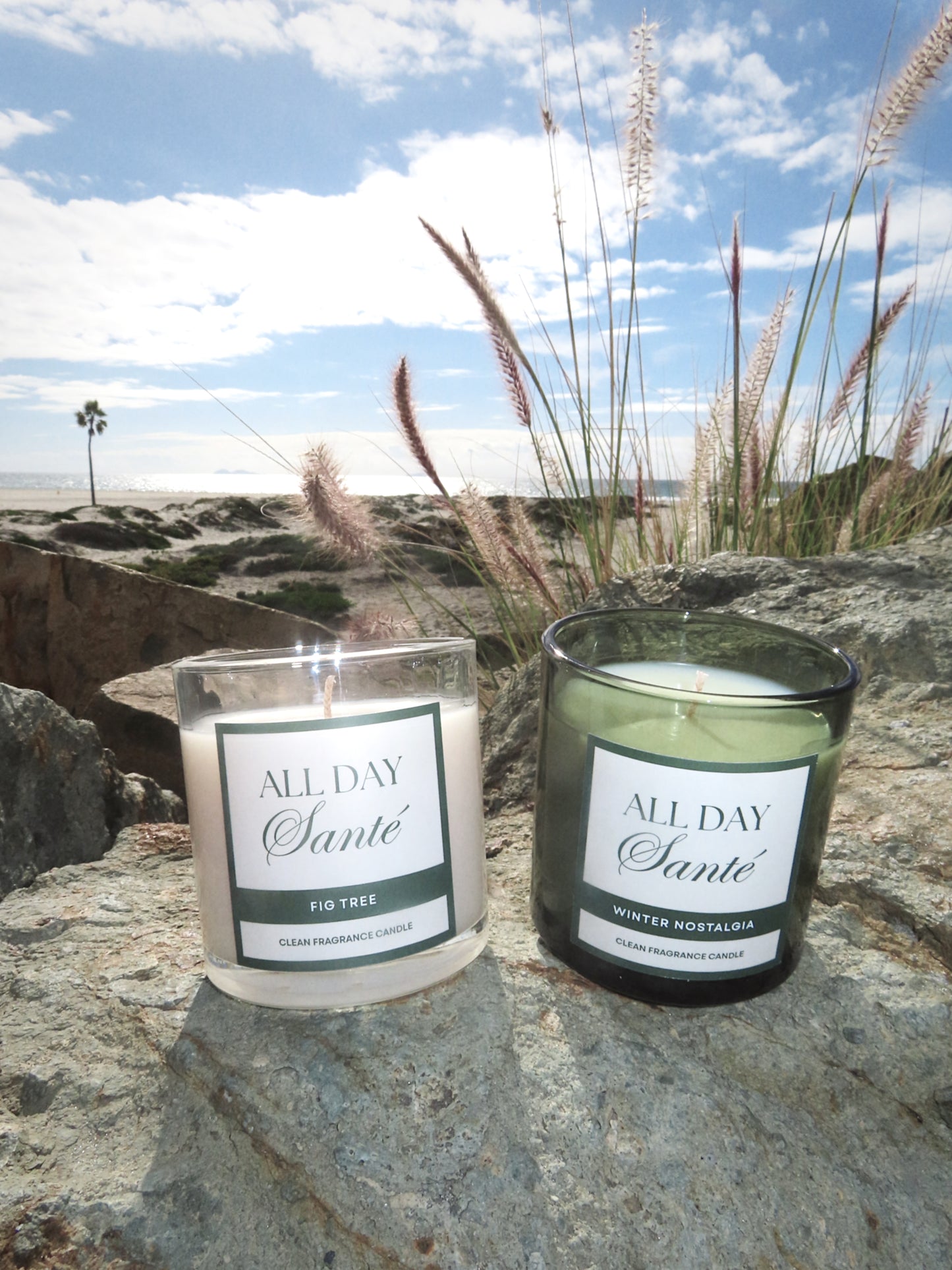 Fig Tree Clean Candle