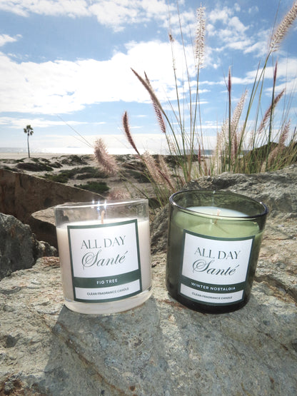 Fig Tree Clean Candle
